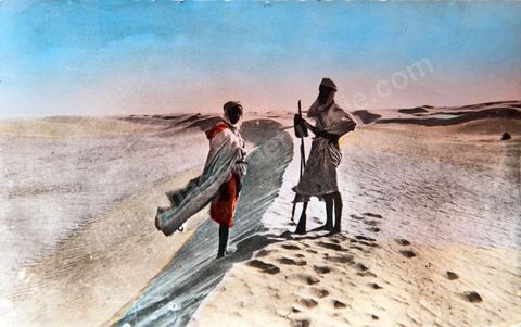 L'indication du chemin dans les dunes 1955 - Carte postale ancienne Tunisie