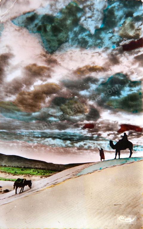 Les annonces de l'orage au désert 1955 - Carte postale ancienne Tunisie