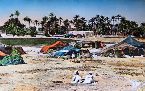 Campement de nomades 1956 - Carte postale ancienne Tunisie