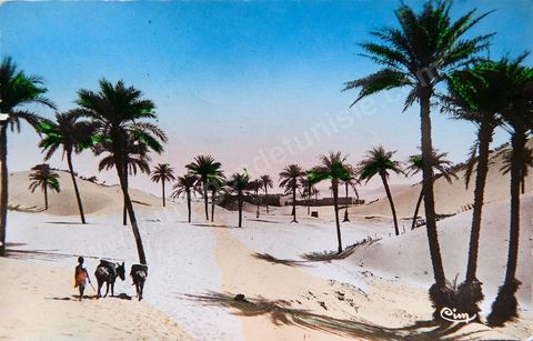 Dunes de sable envahissant l'Oasis 1955 - Carte postale ancienne Tunisie