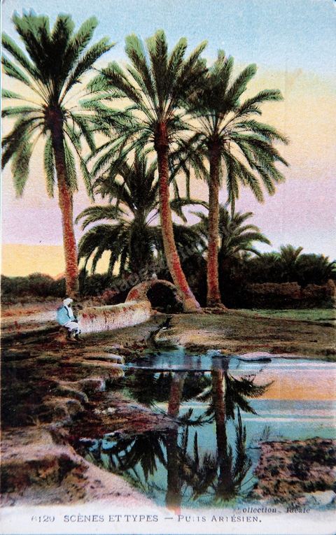 Puits Artésiens - Carte postale ancienne Tunisie