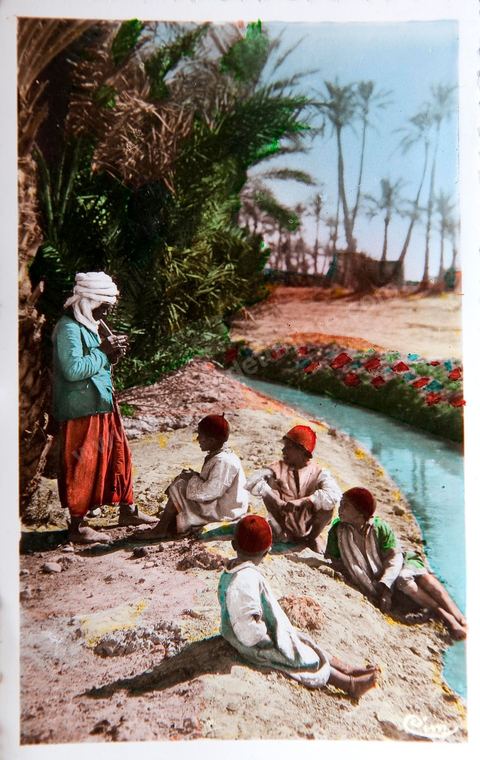 Musique de plein air 1955 - Carte postale ancienne Tunisie