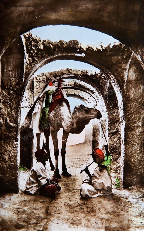 Une vieille rue 1956 - Carte postale ancienne Tunisie