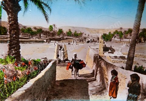 Paysgae du M'zab 1955 - Carte postale ancienne Tunisie