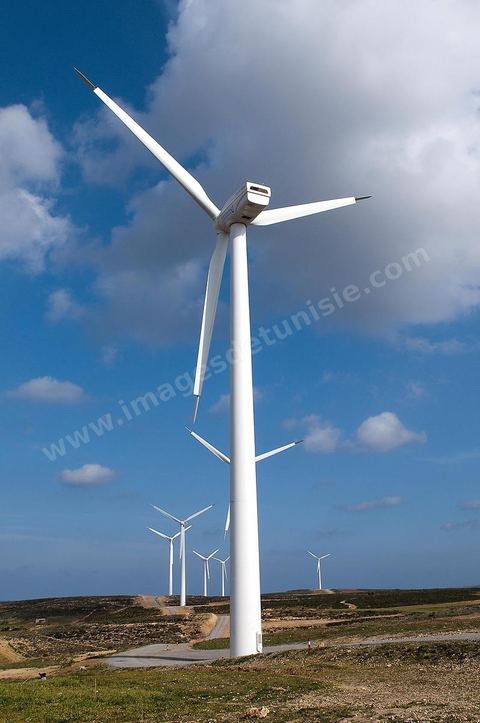 Champ d'éoliennes de la STEG à Sidi Daoud au nord du Cap Bon
