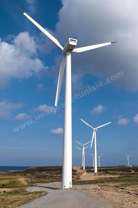Champ d'éoliennes de la STEG à Sidi Daoud au nord du Cap Bon