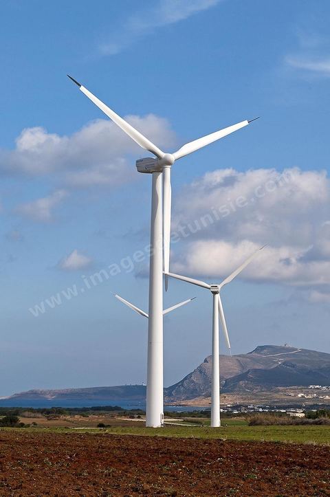 Champ d'éoliennes de la STEG à Sidi Daoud au nord du Cap Bon