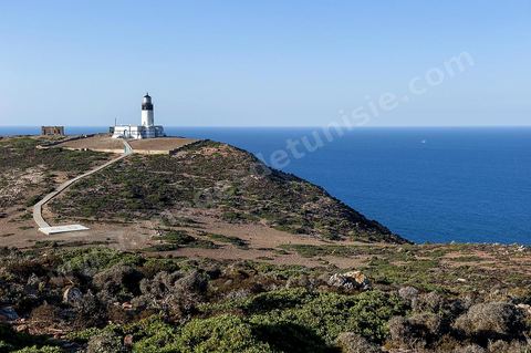 A l'extrême pointe du Cap Bon dans les montganes surplombant la mer et la ville d'El Haouaria, le phare domine l'entrée du Cap de Carthage.
