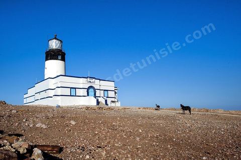 A l'extrême pointe du Cap Bon dans les montganes surplombant la mer et la ville d'El Haouaria, le phare domine l'entrée du Cap de Carthage.
