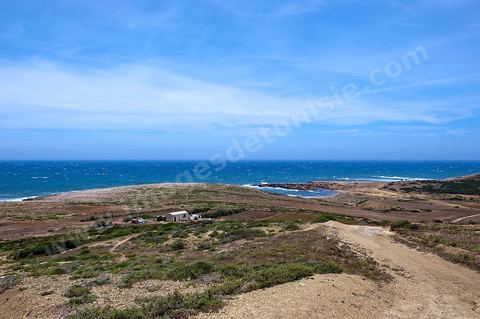 La côte d'El Haouaria à la pointe du Cap Bon, falaise, mer et montagnes. Baie avec plage et barques de pêcheurs.