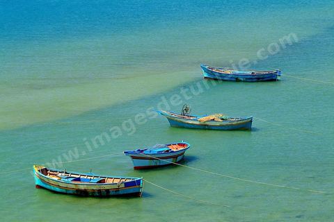 Plage et pecheur au pied des remparts d'Hammamet