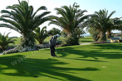 Terrain de golf Cytrus a Hammamet