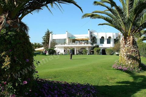 Terrain de golf Cytrus a Hammamet