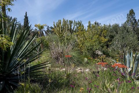 Jardin botannique au village Ken
