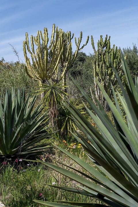 Jardin botannique au village Ken