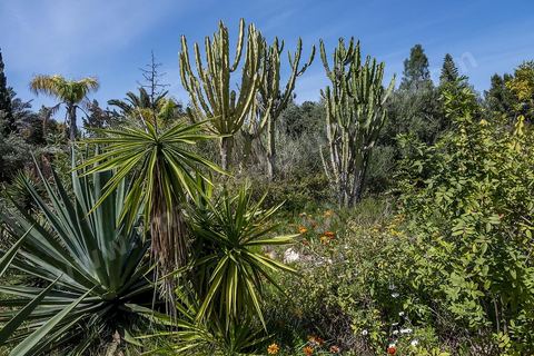 Jardin botannique au village Ken