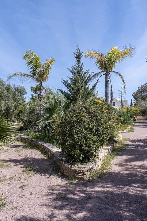 Jardin botannique au village Ken