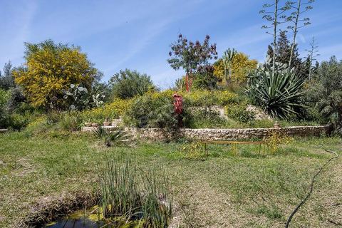 Jardin botannique au village Ken