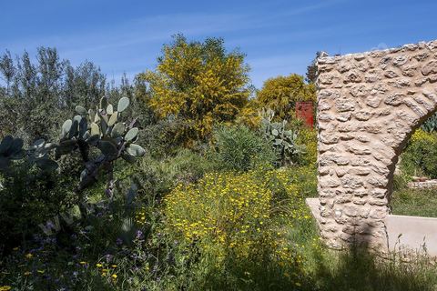 Jardin botannique au village Ken
