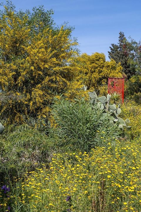Jardin botannique au village Ken