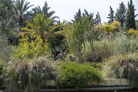 Jardin botannique au village Ken
