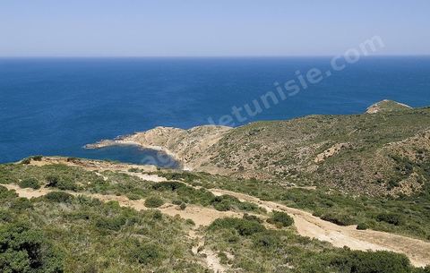 Criques sauvages, plages et montagne - Korbous