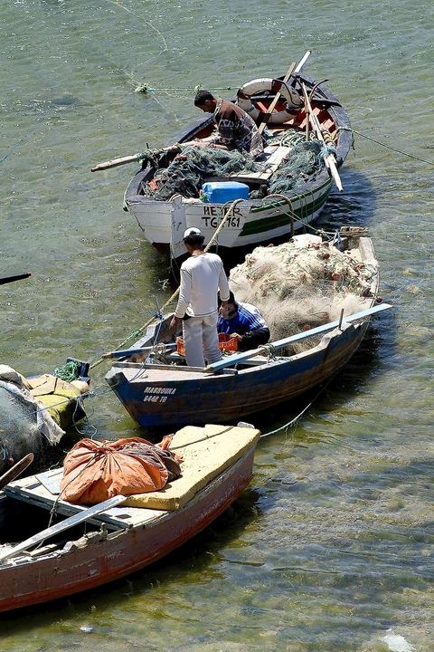 Pêcheur dans une crique - korbous