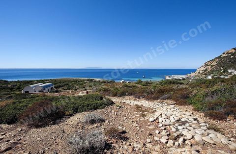 île de Zembra au large du Cap Bon