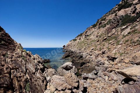 île de Zembra au large du Cap Bon