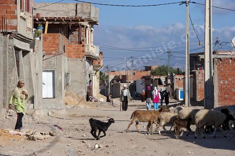26 septembre 2011 : au coeur des quartiers populaires de la Cité Ezzouhour quartier de la révolution tunisienne à Kasserine