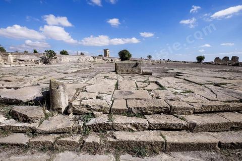 Le vieux forum sur le site archéologique de Makthar, vestige de l'antique Mactaris, au centre-ouest de la Tunisie, est situé à Makthar, ville sur la bordure nord de la dorsale tunisienne.Le site est l'un des plus étendus du pays, et une grande partie n'a pas encore fait l'objet de recherches archéologiques. Outre les nombreux vestiges qu'il abrite au sein d'un parc archéologique comme le forum, les thermes, la schola des Juvenes, ... un petit musée présente diverses pièces archéologiques trouvées sur le site.