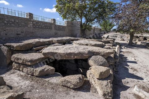 Tombes megalithiques sur le site archéologique de Makthar, vestige de l'antique Mactaris, au centre-ouest de la Tunisie, est situé à Makthar, ville sur la bordure nord de la dorsale tunisienne.Le site est l'un des plus étendus du pays, et une grande partie n'a pas encore fait l'objet de recherches archéologiques. Outre les nombreux vestiges qu'il abrite au sein d'un parc archéologique comme le forum, les thermes, la schola des Juvenes, ... un petit musée présente diverses pièces archéologiques trouvées sur le site.