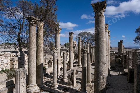 La Schola des Juvenes sur le site archéologique de Makthar, vestige de l'antique Mactaris, au centre-ouest de la Tunisie, est situé à Makthar, ville sur la bordure nord de la dorsale tunisienne.Le site est l'un des plus étendus du pays, et une grande partie n'a pas encore fait l'objet de recherches archéologiques. Outre les nombreux vestiges qu'il abrite au sein d'un parc archéologique comme le forum, les thermes, la schola des Juvenes, ... un petit musée présente diverses pièces archéologiques trouvées sur le site.
