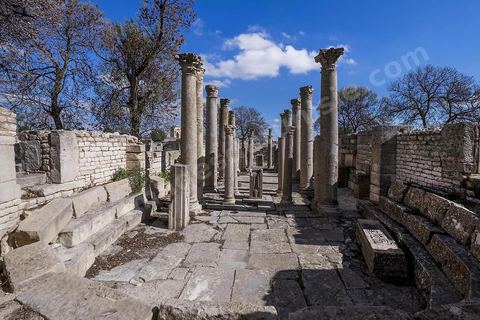 La Schola des Juvenes sur le site archéologique de Makthar, vestige de l'antique Mactaris, au centre-ouest de la Tunisie, est situé à Makthar, ville sur la bordure nord de la dorsale tunisienne.Le site est l'un des plus étendus du pays, et une grande partie n'a pas encore fait l'objet de recherches archéologiques. Outre les nombreux vestiges qu'il abrite au sein d'un parc archéologique comme le forum, les thermes, la schola des Juvenes, ... un petit musée présente diverses pièces archéologiques trouvées sur le site.