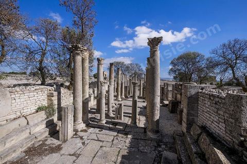 La Schola des Juvenes sur le site archéologique de Makthar, vestige de l'antique Mactaris, au centre-ouest de la Tunisie, est situé à Makthar, ville sur la bordure nord de la dorsale tunisienne.Le site est l'un des plus étendus du pays, et une grande partie n'a pas encore fait l'objet de recherches archéologiques. Outre les nombreux vestiges qu'il abrite au sein d'un parc archéologique comme le forum, les thermes, la schola des Juvenes, ... un petit musée présente diverses pièces archéologiques trouvées sur le site.
