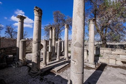La Schola des Juvenes sur le site archéologique de Makthar, vestige de l'antique Mactaris, au centre-ouest de la Tunisie, est situé à Makthar, ville sur la bordure nord de la dorsale tunisienne.Le site est l'un des plus étendus du pays, et une grande partie n'a pas encore fait l'objet de recherches archéologiques. Outre les nombreux vestiges qu'il abrite au sein d'un parc archéologique comme le forum, les thermes, la schola des Juvenes, ... un petit musée présente diverses pièces archéologiques trouvées sur le site.
