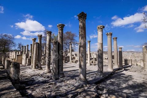 La Schola des Juvenes sur le site archéologique de Makthar, vestige de l'antique Mactaris, au centre-ouest de la Tunisie, est situé à Makthar, ville sur la bordure nord de la dorsale tunisienne.Le site est l'un des plus étendus du pays, et une grande partie n'a pas encore fait l'objet de recherches archéologiques. Outre les nombreux vestiges qu'il abrite au sein d'un parc archéologique comme le forum, les thermes, la schola des Juvenes, ... un petit musée présente diverses pièces archéologiques trouvées sur le site.