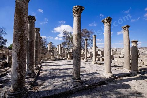 La Schola des Juvenes sur le site archéologique de Makthar, vestige de l'antique Mactaris, au centre-ouest de la Tunisie, est situé à Makthar, ville sur la bordure nord de la dorsale tunisienne.Le site est l'un des plus étendus du pays, et une grande partie n'a pas encore fait l'objet de recherches archéologiques. Outre les nombreux vestiges qu'il abrite au sein d'un parc archéologique comme le forum, les thermes, la schola des Juvenes, ... un petit musée présente diverses pièces archéologiques trouvées sur le site.