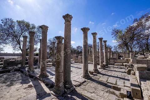 La Schola des Juvenes sur le site archéologique de Makthar, vestige de l'antique Mactaris, au centre-ouest de la Tunisie, est situé à Makthar, ville sur la bordure nord de la dorsale tunisienne.Le site est l'un des plus étendus du pays, et une grande partie n'a pas encore fait l'objet de recherches archéologiques. Outre les nombreux vestiges qu'il abrite au sein d'un parc archéologique comme le forum, les thermes, la schola des Juvenes, ... un petit musée présente diverses pièces archéologiques trouvées sur le site.