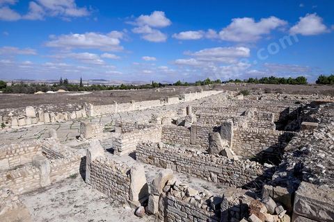 Le site archéologique de Makthar, vestige de l'antique Mactaris, au centre-ouest de la Tunisie, est situé à Makthar, ville sur la bordure nord de la dorsale tunisienne.Le site est l'un des plus étendus du pays, et une grande partie n'a pas encore fait l'objet de recherches archéologiques. Outre les nombreux vestiges qu'il abrite au sein d'un parc archéologique comme le forum, les thermes, la schola des Juvenes, ... un petit musée présente diverses pièces archéologiques trouvées sur le site.