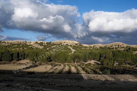 Paysage dans la région de Makthar