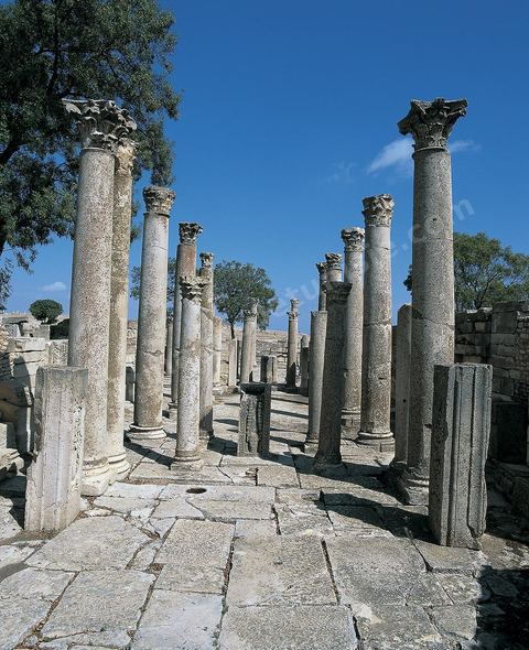 La Schola des Juvenes sur le site archéologique de Makthar, vestige de l'antique Mactaris, au centre-ouest de la Tunisie, est situé à Makthar, ville sur la bordure nord de la dorsale tunisienne.Le site est l'un des plus étendus du pays, et une grande partie n'a pas encore fait l'objet de recherches archéologiques. Outre les nombreux vestiges qu'il abrite au sein d'un parc archéologique comme le forum, les thermes, la schola des Juvenes, ... un petit musée présente diverses pièces archéologiques trouvées sur le site.