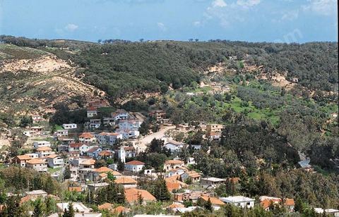 village de Ain Draham dans les montagnes de Kroumirie