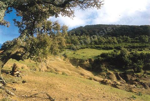 Chasse dans les montagnes de Kroumirie pres de Ain Draham-
