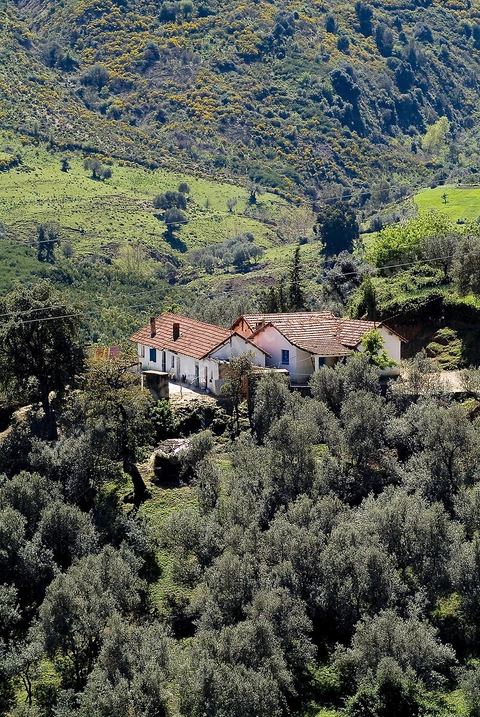 Paysage dans les montagnes de Kroumirie