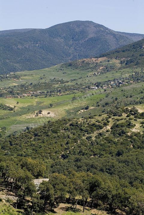 Paysage dans les montagnes de Kroumirie