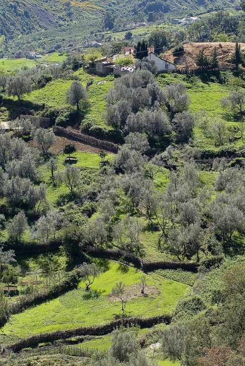 Paysage dans les montagnes de Kroumirie