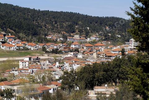 village de Ain Draham dans les montagnes de Kroumirie