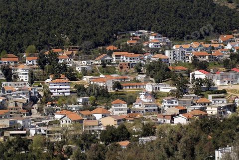 village de Ain Draham dans les montagnes de Kroumirie