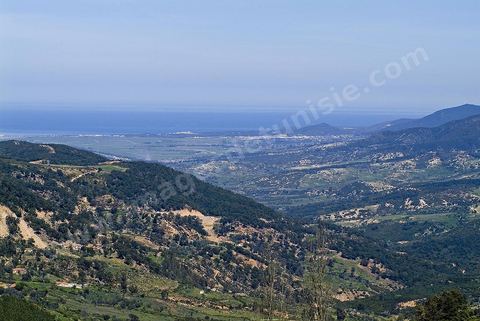 Paysage dans les montagnes de Kroumirie
